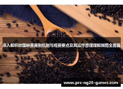 深入解析欧国联赛赛制机制与观赛要点及其运作原理理解指南全面篇