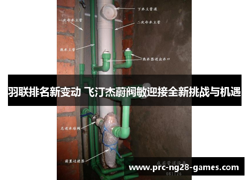 羽联排名新变动 飞汀杰蔚阀敏迎接全新挑战与机遇 羽联排名新变动 飞汀杰蔚阀敏迎接全新挑战与机遇