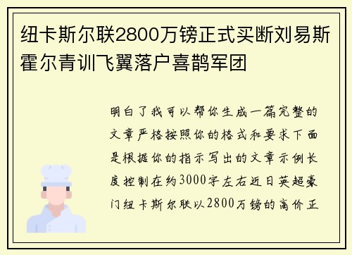 纽卡斯尔联2800万镑正式买断刘易斯霍尔青训飞翼落户喜鹊军团 纽卡斯尔联2800万镑正式买断刘易斯霍尔青训飞翼落户喜鹊军团