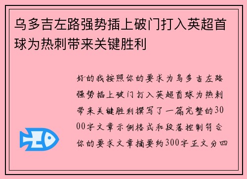 乌多吉左路强势插上破门打入英超首球为热刺带来关键胜利