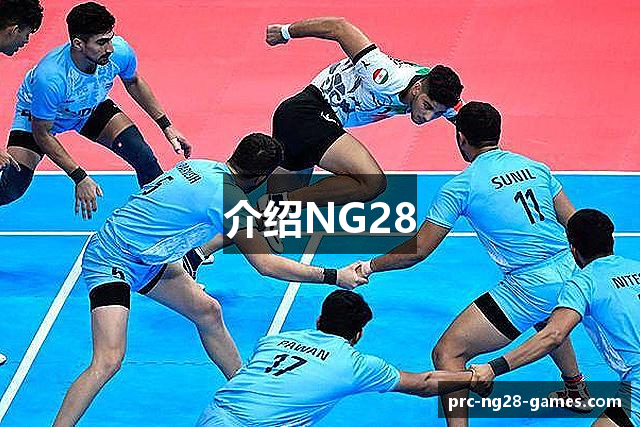介绍NG28